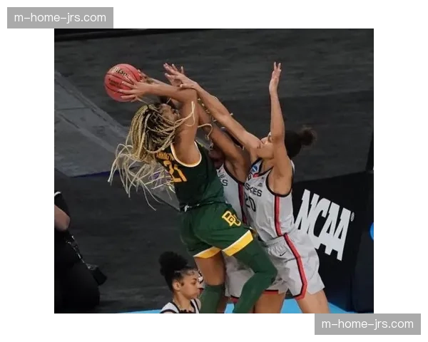 战术犯规识别 沙梅特拉拽动作漏判分析